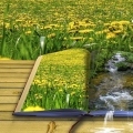picture-book-g713ac2b90_1280