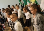 edu (31)