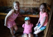 IMG_20180605_152734